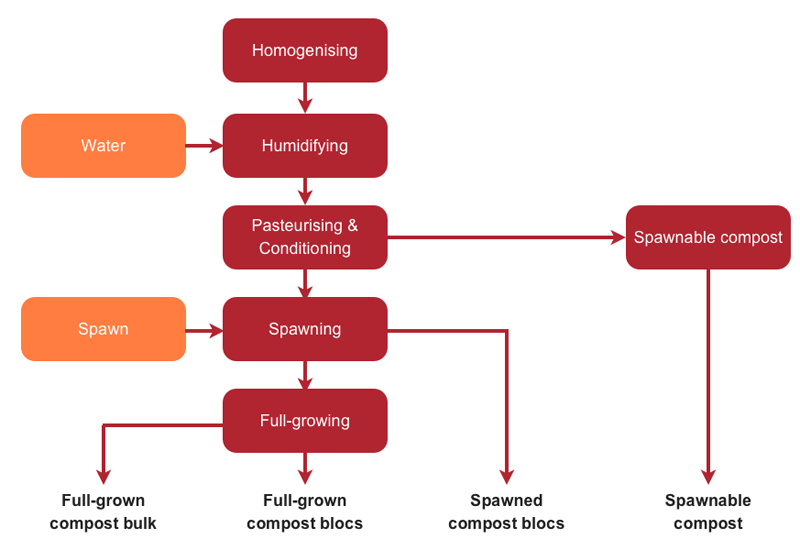 Production process